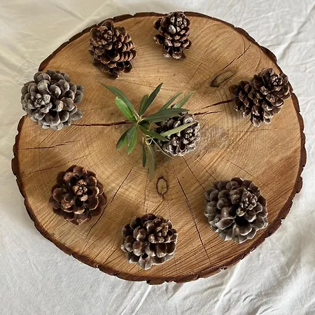 ヴィラ Villavos- La Vassal Avec Cheminee - A Partir De 2pers