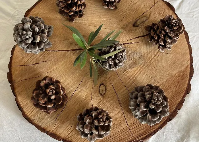 Villa Villavos- La Vassal Avec Cheminee - A Partir De 2pers